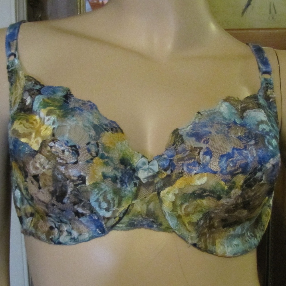 Lace Royale by Warner's Green & Blue Bra size 36D